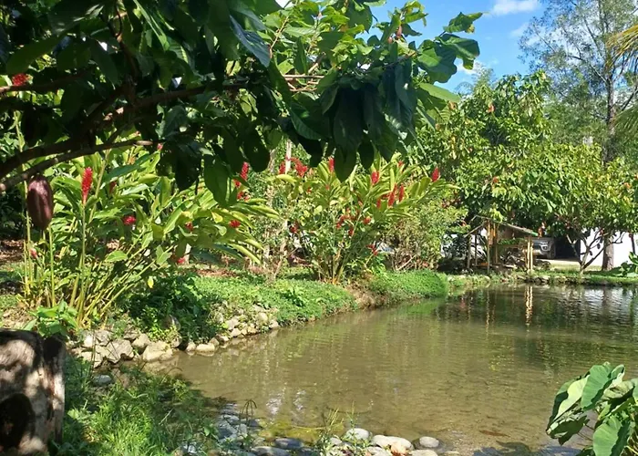 El Cacaotal Finca Faura #5 3H